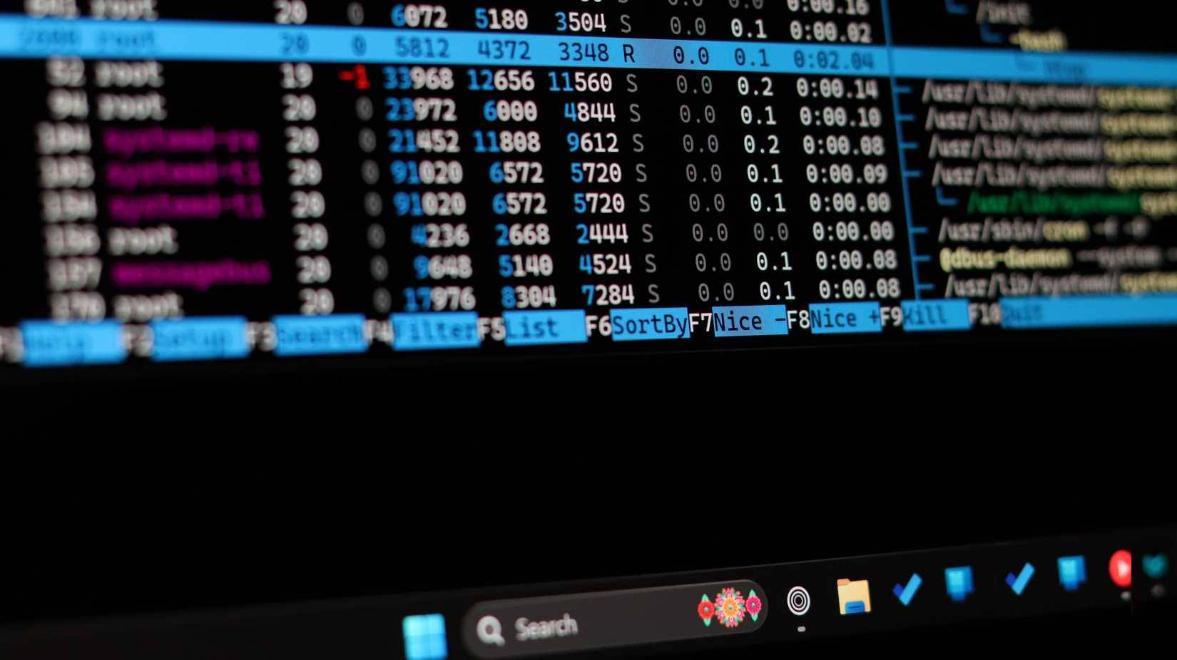 Why can htop beat Task Manager? Picture 2