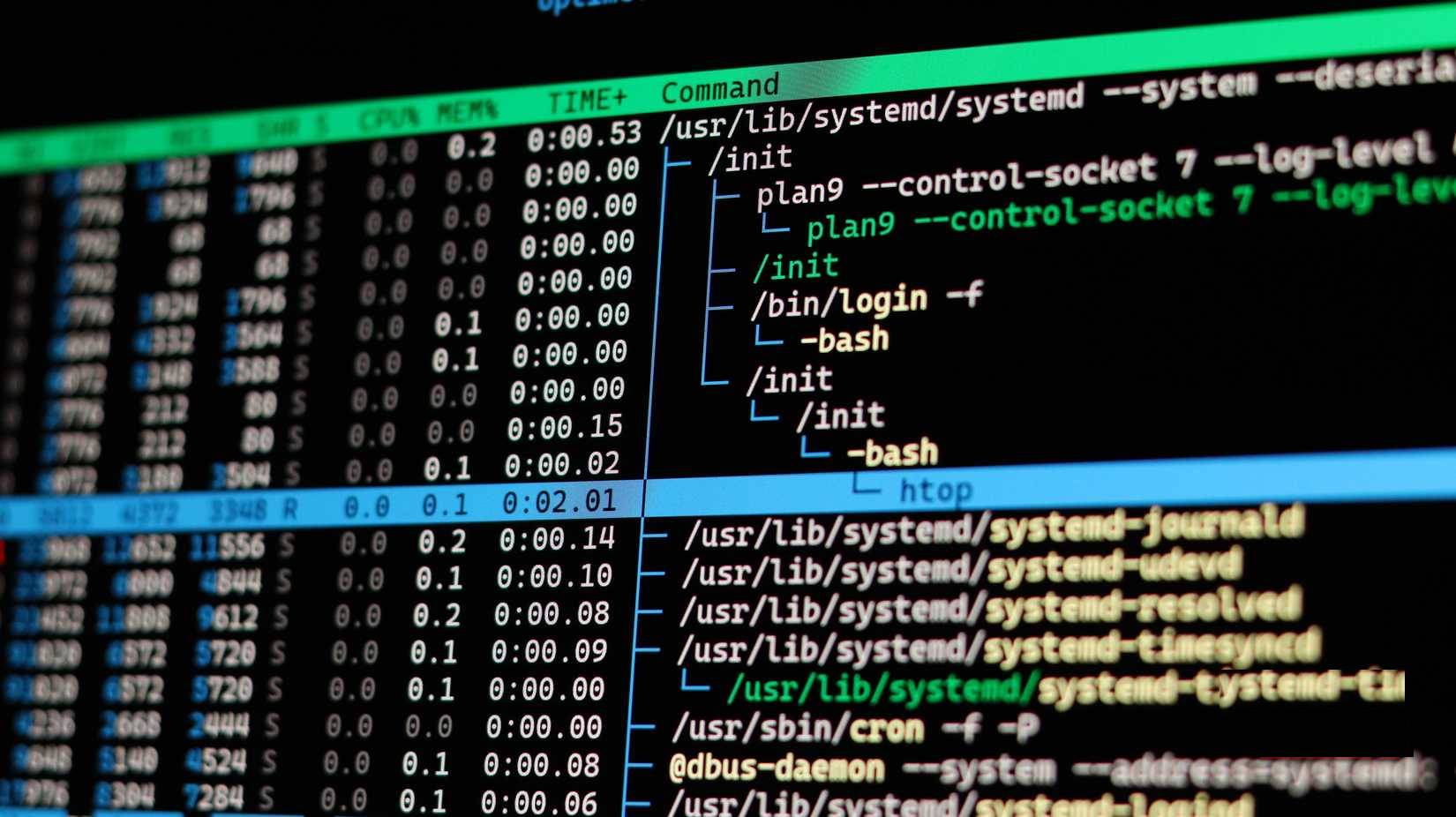 Why can htop beat Task Manager? Picture 3