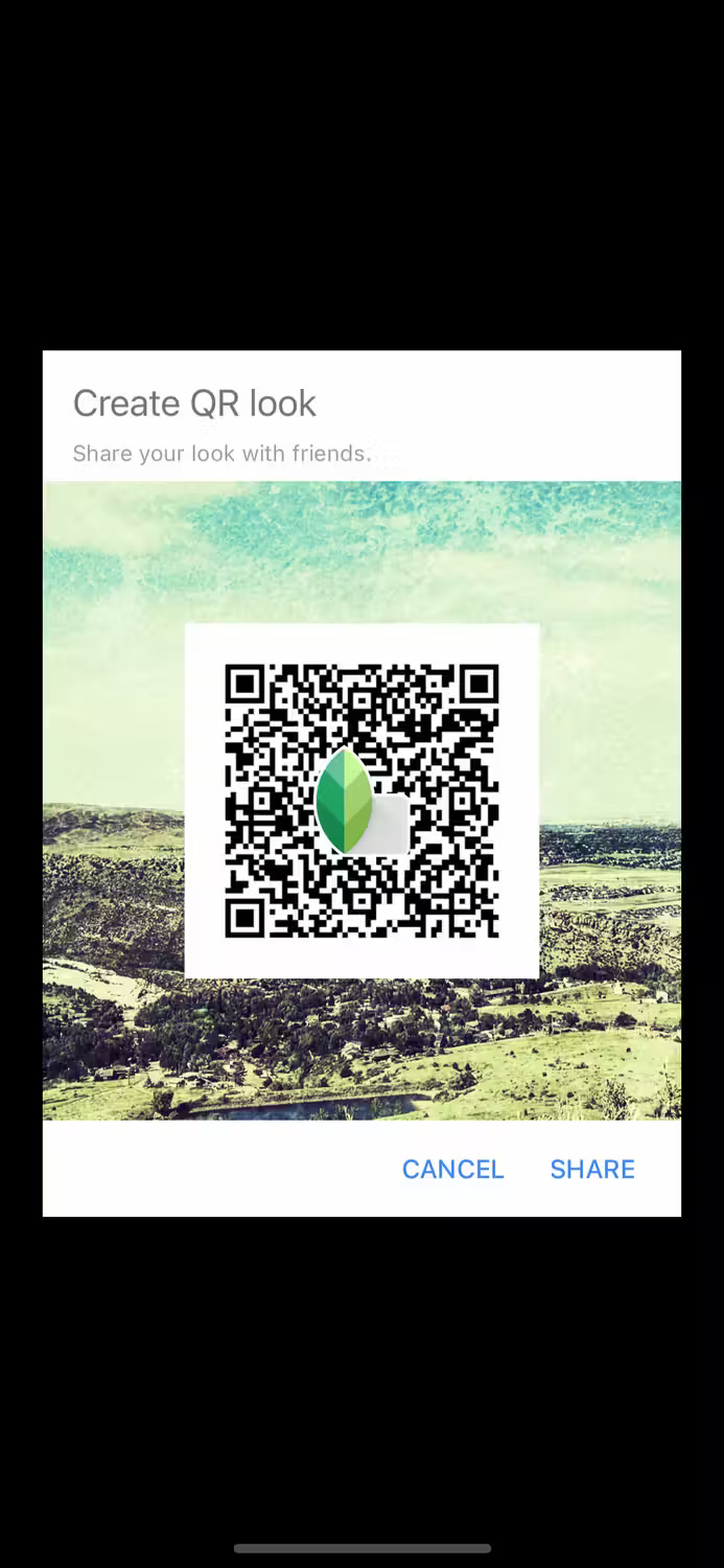 Why is Snapseed better than Lightroom Mobile for editing photos on the go? Picture 17