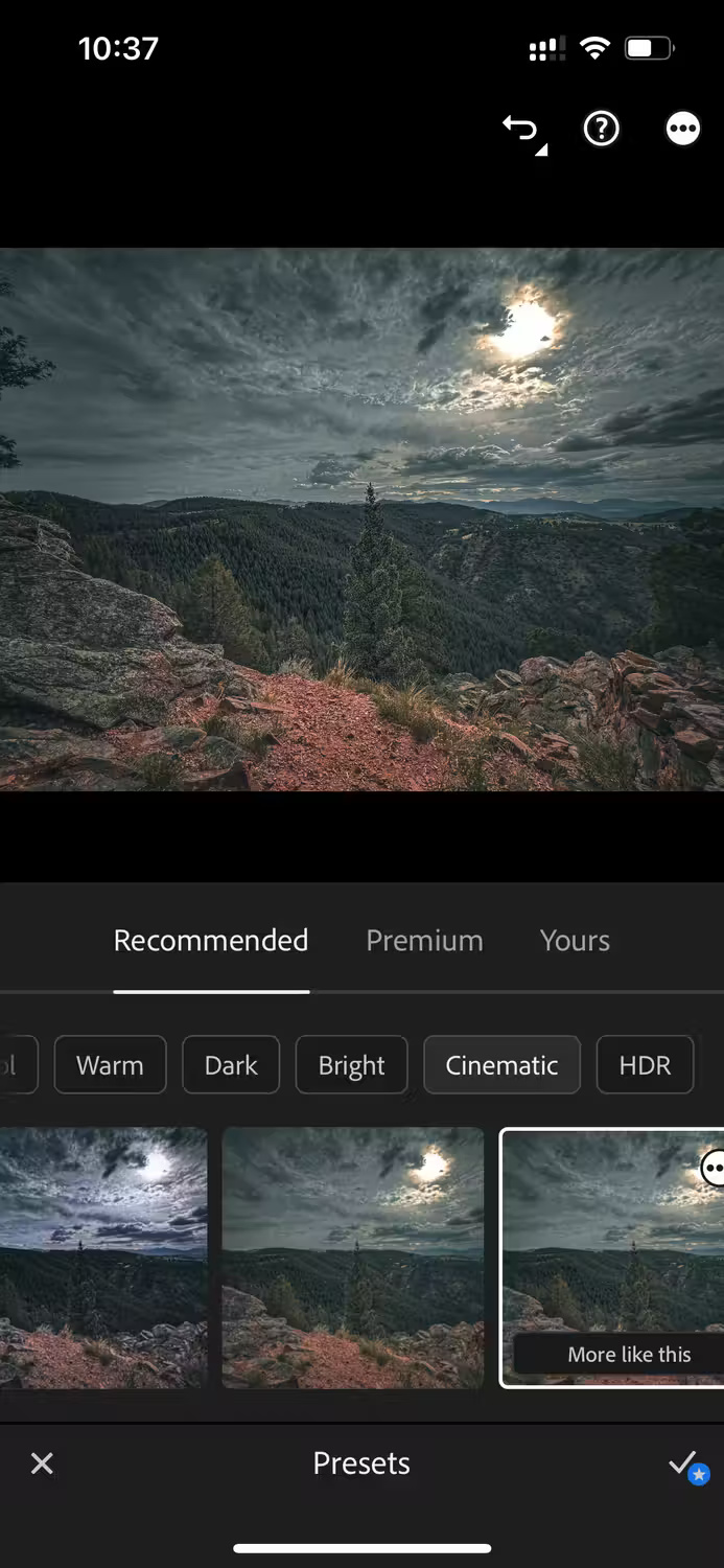 Why is Snapseed better than Lightroom Mobile for editing photos on the go? Picture 3