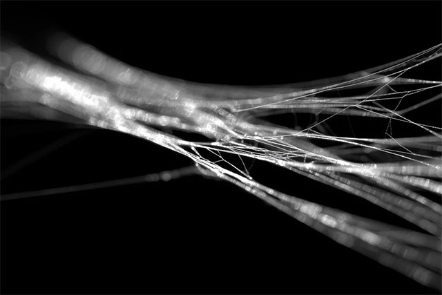 Picture 1 of Why is spider silk stronger than steel? Science finally has the answer.