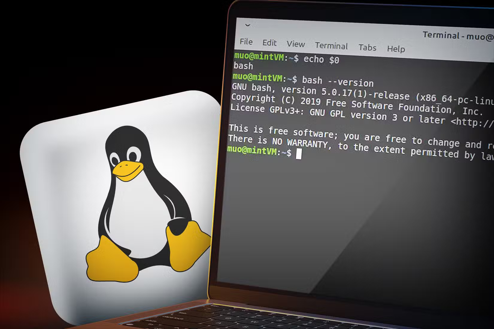 Why Linux Mint is the best distro to start migrating from Windows 11 to Linux? Picture 5