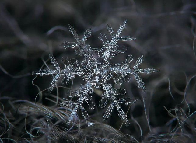 Why no two snowflakes are 100% alike? Picture 5