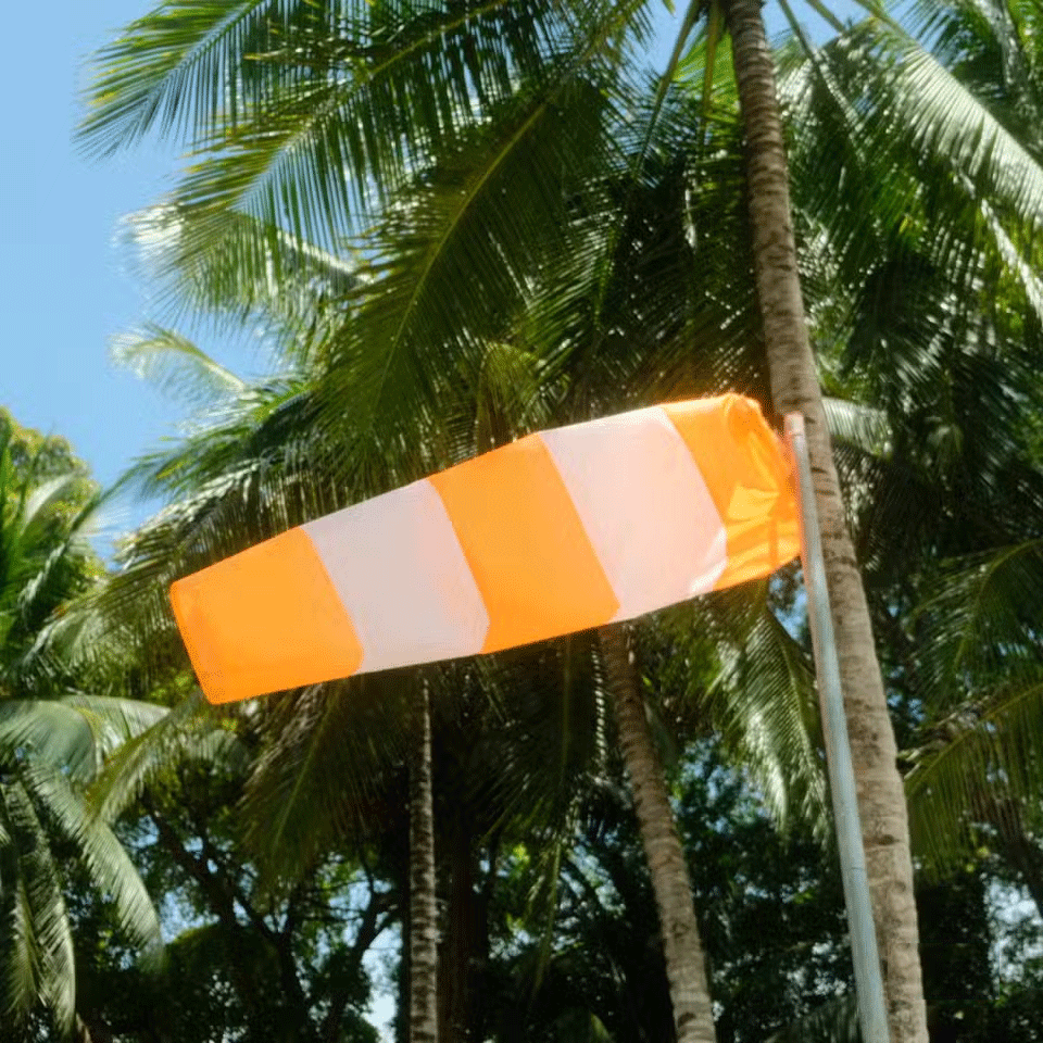 Why should you bring a camera, even if you already have a phone? Picture 11