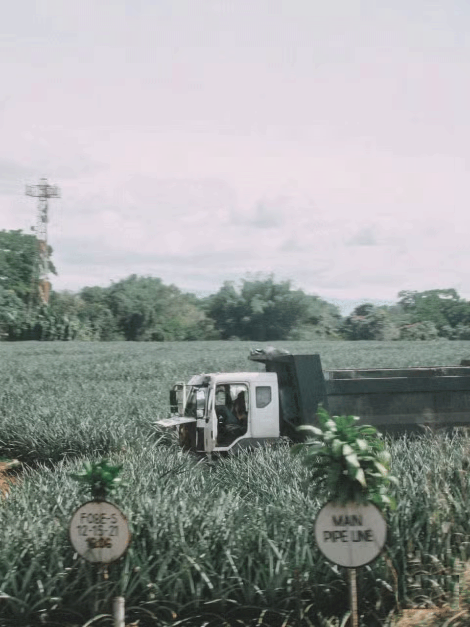 Why should you bring a camera, even if you already have a phone? Picture 5