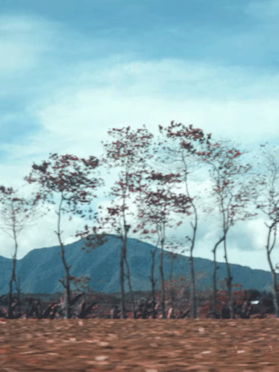 Why should you bring a camera, even if you already have a phone? Picture 7