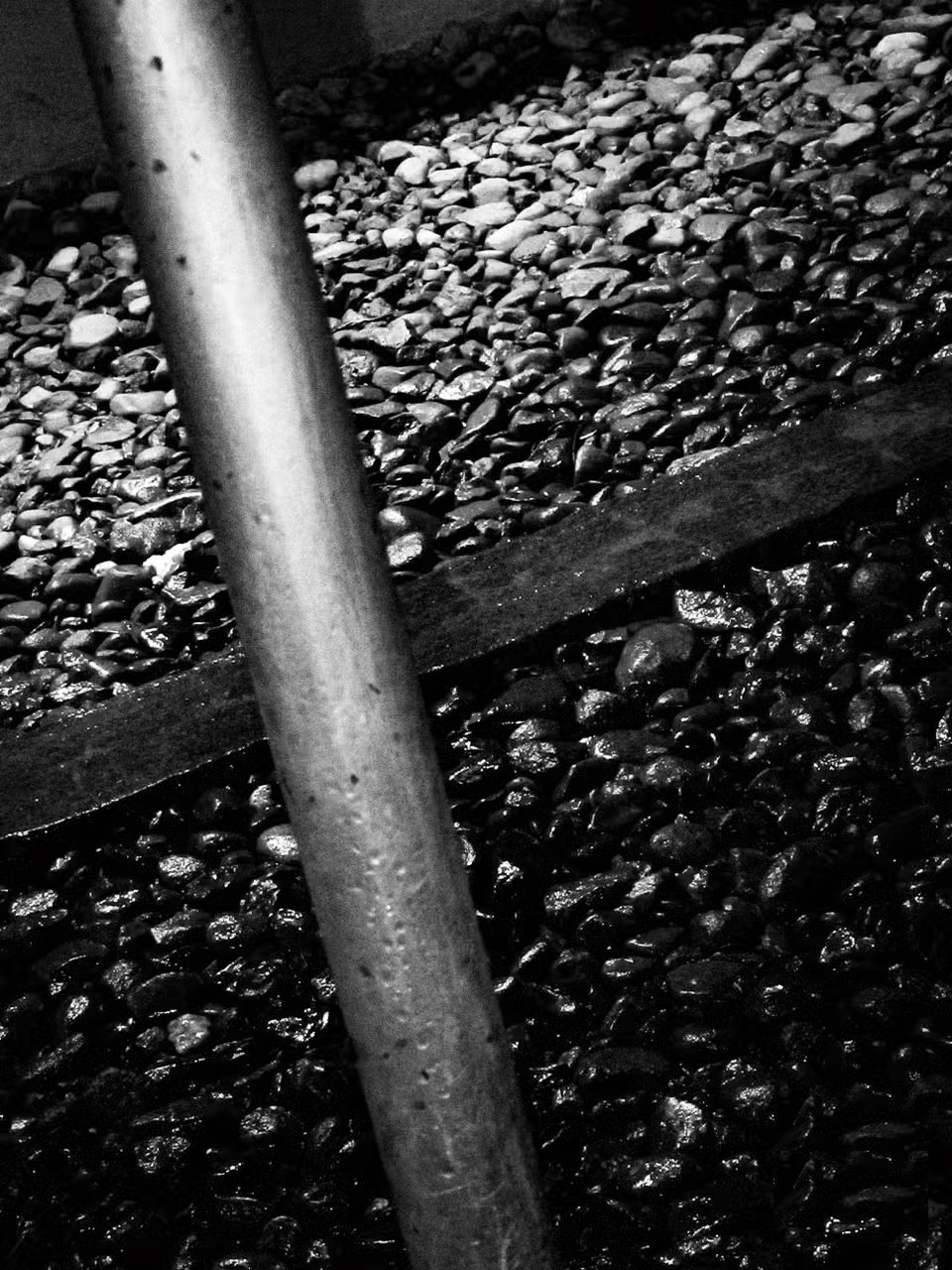 Why should you bring a camera, even if you already have a phone? Picture 8