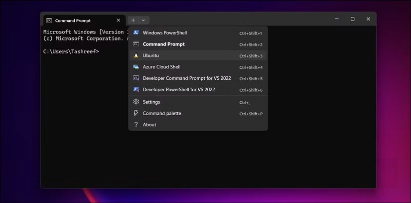 Why use Windows Terminal instead of Command Prompt? Picture 2