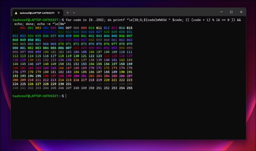 Why use Windows Terminal instead of Command Prompt? Picture 8