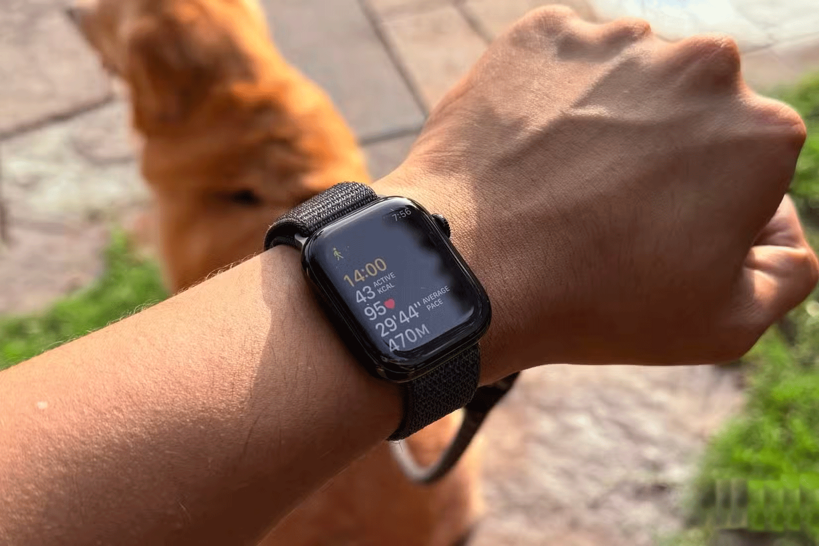 Why not buy a smart watch? Picture 1