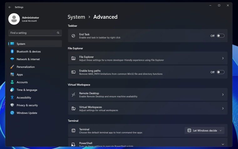 Windows 11 is getting a new Settings page with advanced options Picture 1