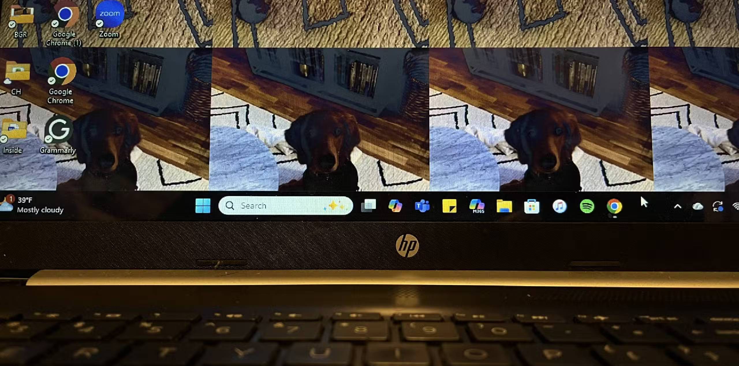 Windows 11 needs these 5 features instead of another Copilot update Picture 1
