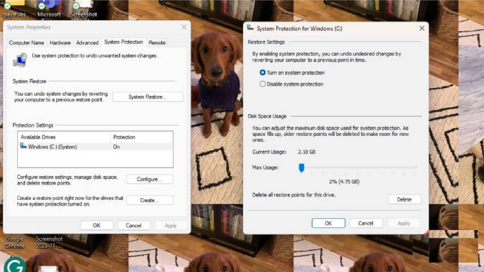 Windows 11 needs these 5 features instead of another Copilot update Picture 7