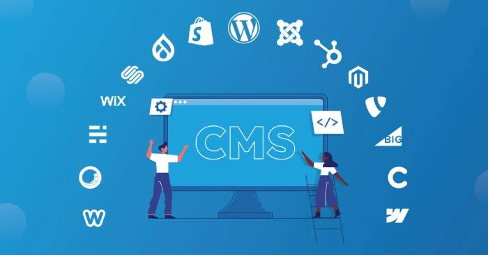 15 Best CMS Platforms in 2025: Practical Guide