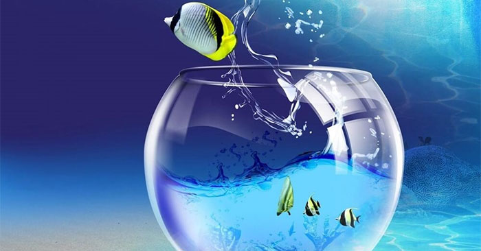 23 Awesome Screensavers to Protect Your Windows Computer Screen: Explained