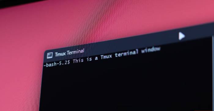 5 Bash Shortcuts to Help You Quickly Master the Terminal: Practical Guide