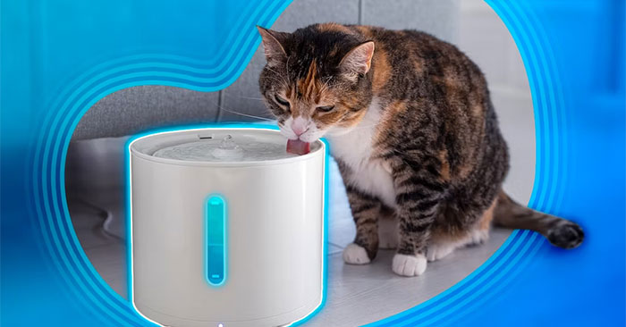5 Favorite Smart Home Devices for Pets: What You Need to Know