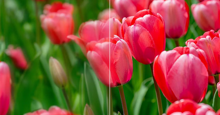 8 Free AI Image Upscaling Tools