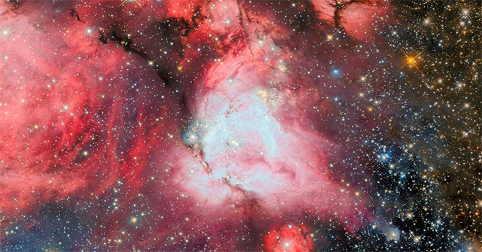 Witness the Rare Phenomenon of Young Stars Creating Giant Bubbles in the Universe