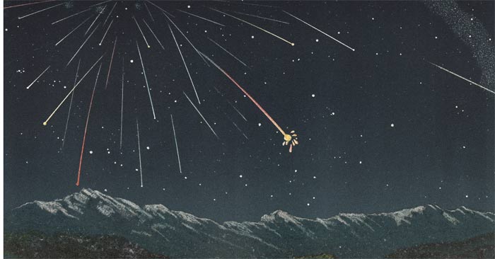 Where Does Astronaut Poop Go?