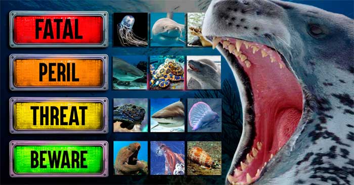 The Ocean's Most Dangerous Predators: Explained