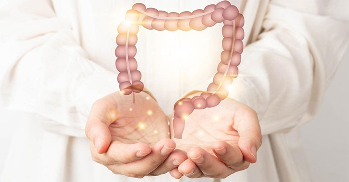 Discovery of an Amino Acid That Helps Regenerate and Rejuvenate the Small
