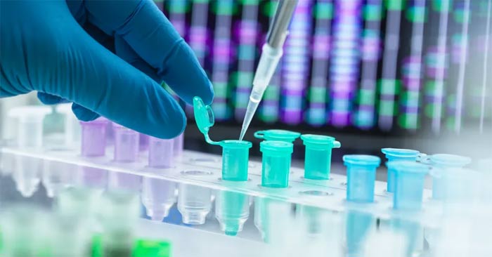 How Does DNA Identify Victims in Mass Disasters?