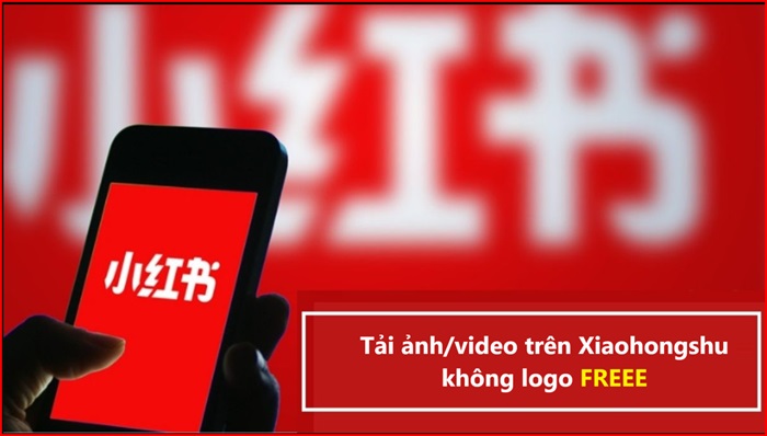 Download Photos and Videos on Xiaohongshu Without Logo for Free, Super Easy