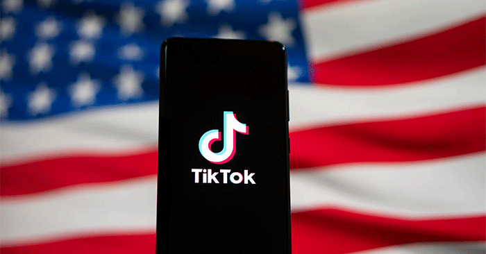 Elon Musk May Buy TikTok Before It Gets Banned in the US