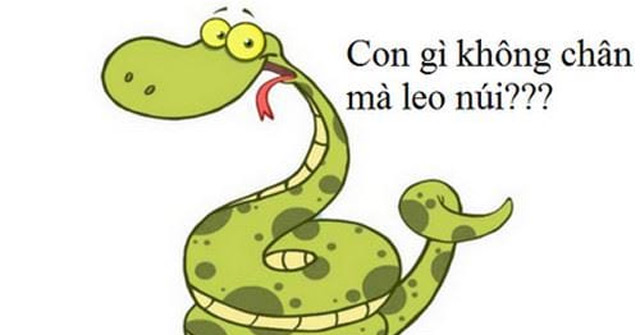 The best animal riddles