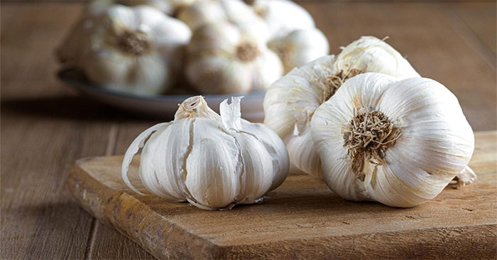 Garlic Extract Mouthwash Brings Unexpected Antiseptic Effect