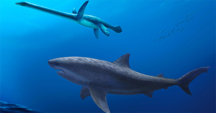115-million-year-old shark fossils reveal early giants in Australian seas