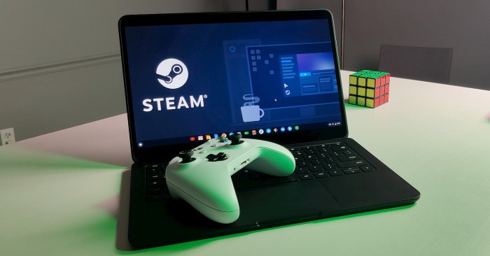 Google Officially Kills Steam on Chromebooks