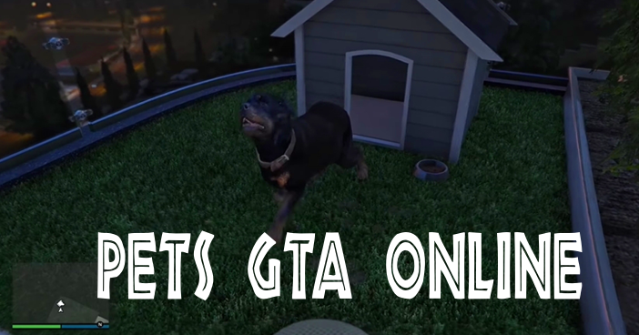 How to Buy Cats and Dogs in GTA Online Mansions