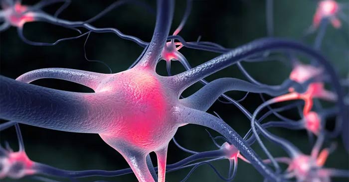Health Risks of Vitamin B12 Deficiency