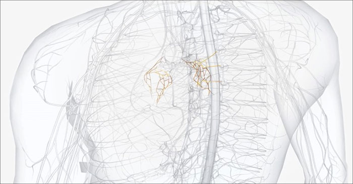 'Heart Failure Epidemic' Spurs Search for New Therapies