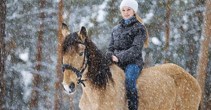 Add Falling Snow to Photos Using Photoshop: Step-by-Step Guide