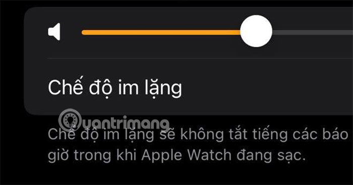 How to Adjust Apple Watch Volume, Adjust Apple Watch Volume