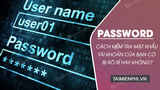 3 Safe Ways to Check for Leaked Account Credentials