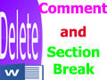 Delete Comment and Section Break in Word 2013, 2010, 2007, 2003: Step-by-Step Guide