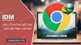 How to effectively fix the IDM error of not capturing YouTube links on Chrome