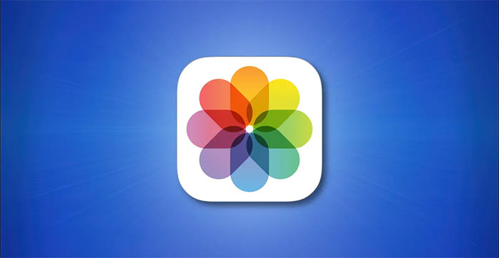 Extract and Copy Text from Photos Taken on iPhone: Step-by-Step Guide