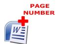 How to Add, Start, and Remove Page Numbers in Microsoft Word