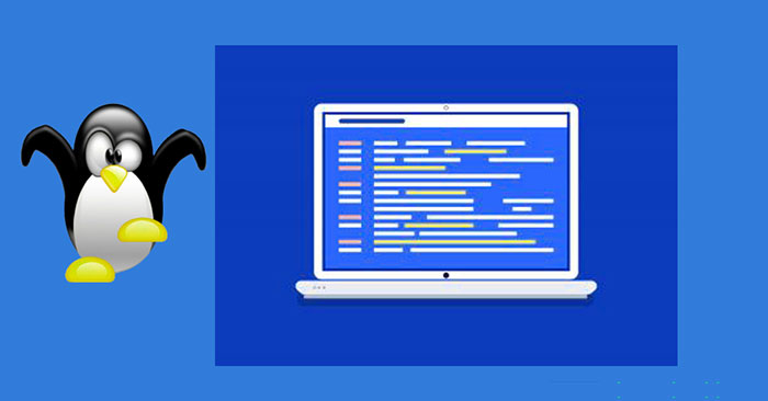 How to Use Wildcards to Match File Names in Linux
