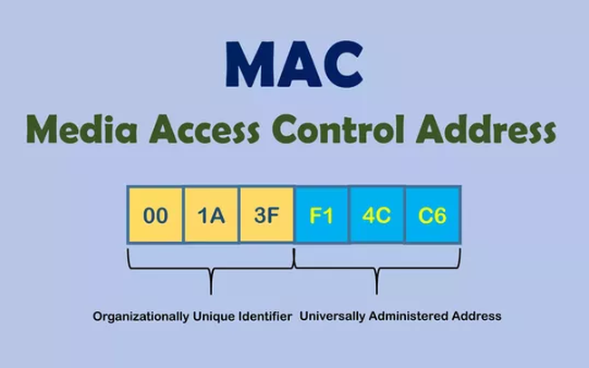 How to View MAC Address on Windows Using Command Prompt