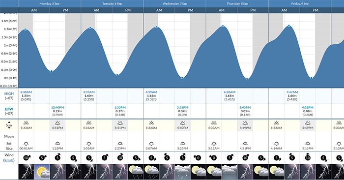 View Tide Schedule on Phone: Step-by-Step Guide
