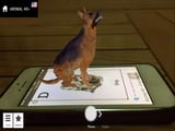 Image collection for the Animal 4D+ app.