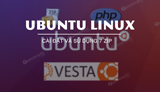 Install and Use 7 ZIP on Ubuntu Linux