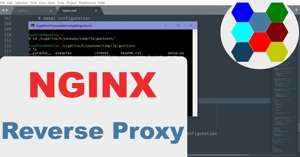 1: Instructions for Configuring Reverse Proxy with the Latest NGINX