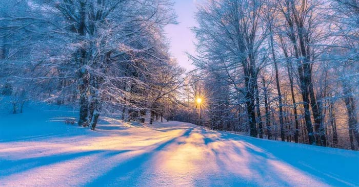 Interesting Facts About Winter Solstice